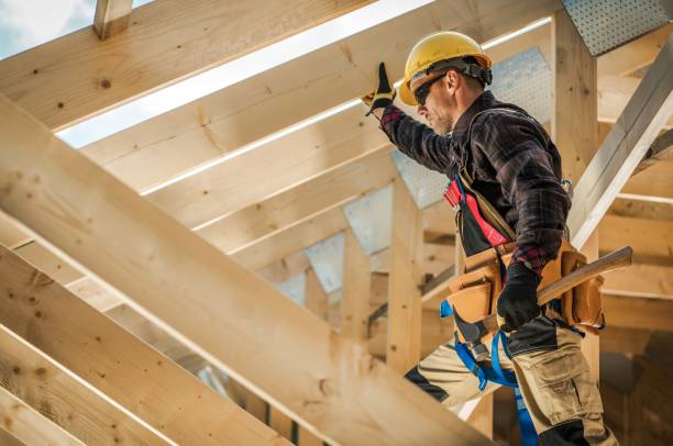 Best Roof Gutter Cleaning  in Fox Lake Hls, IL